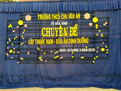 Chuyên đề: Cây thuốc nam - Bữa ăn dinh dưỡng