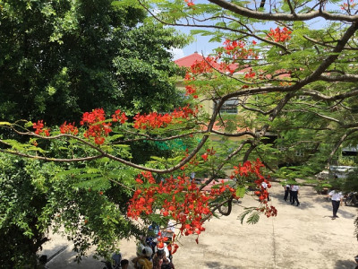 Tháng 5 lại về
