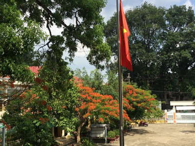 Tháng 7 - Những ngày cuối hạ!