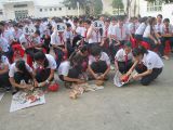 Đập heo đất