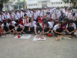 Đập heo đất