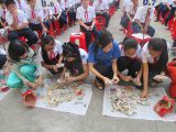 Đập heo đất