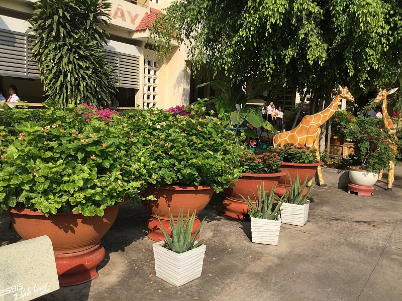 Công viên trường học