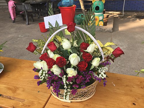 Chào mừng ngày phụ nữ 8.3