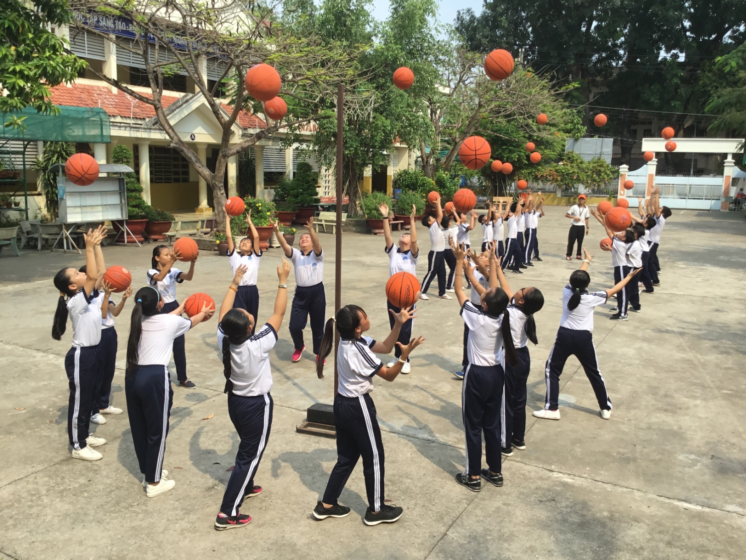 Câu lạc bộ Bóng rổ