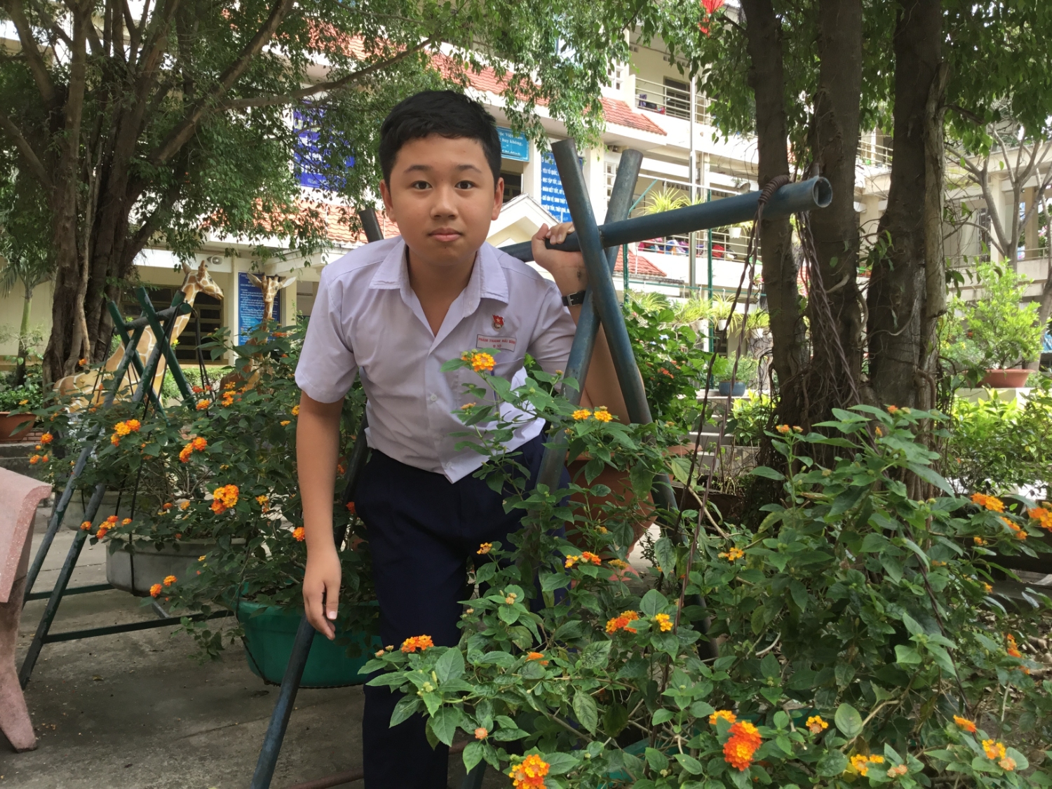 Phạm Thanh Hải Bình giải 3 môn anh văn