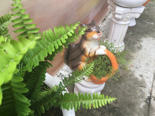 img 3873