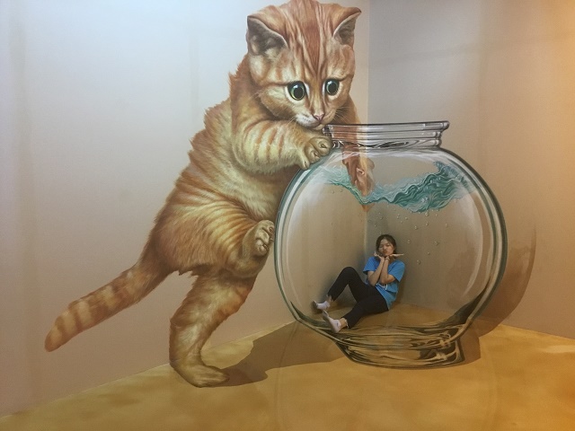 img 1915