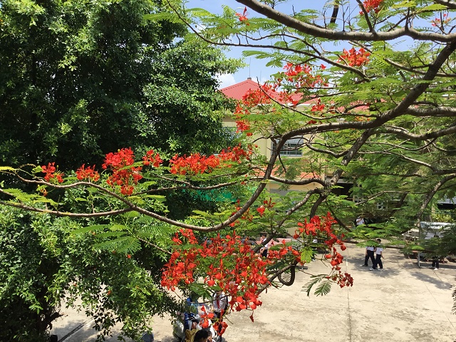 Vào hạ