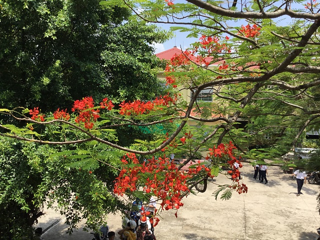 Tháng 5 lại về